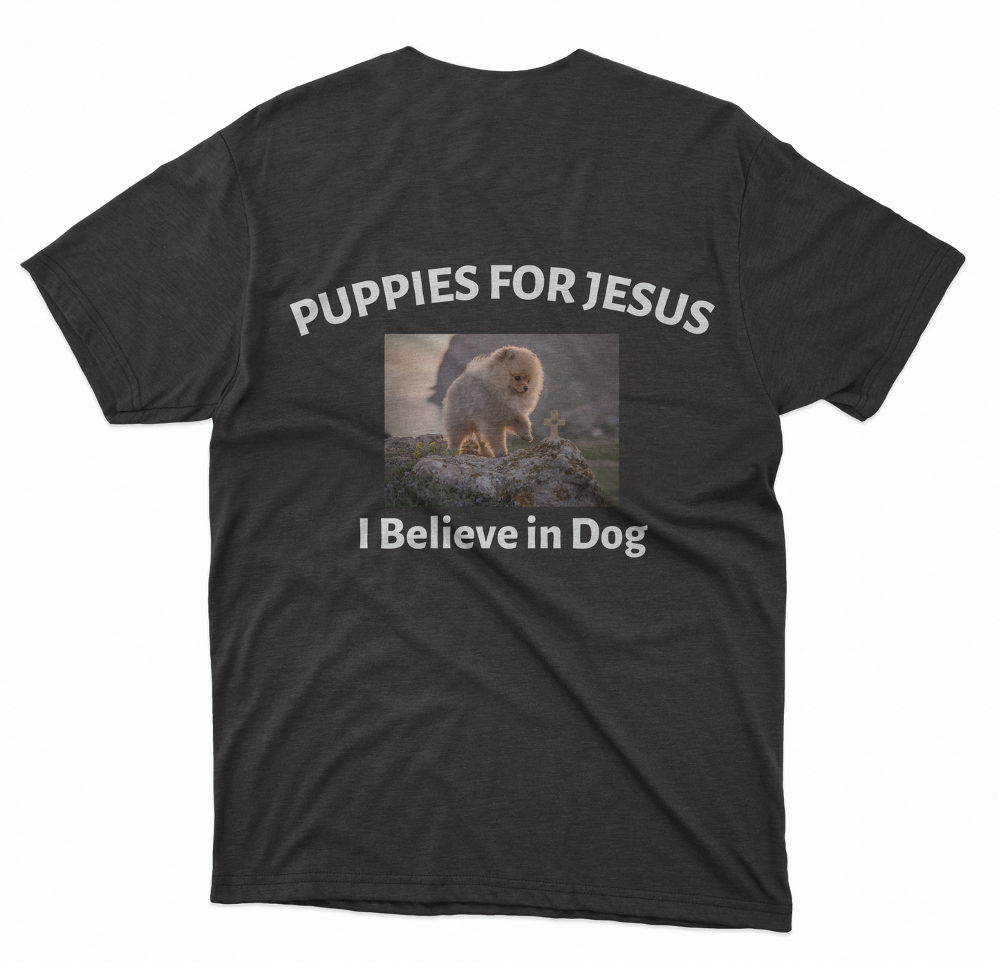 Puppies for Jesus 2